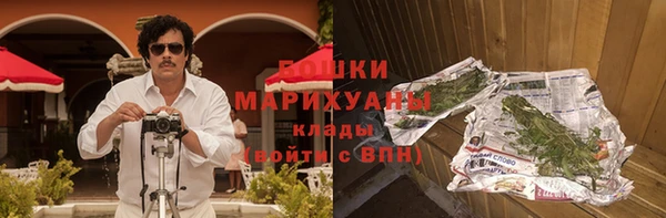 сатива Арсеньев