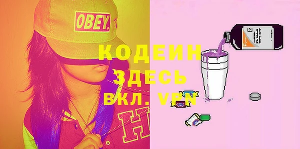 сатива Арсеньев