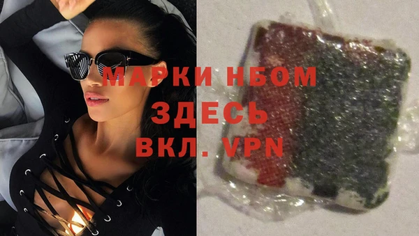 ПСИЛОЦИБИНОВЫЕ ГРИБЫ Аркадак