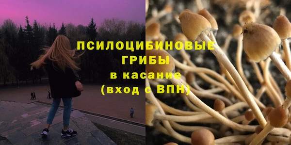 сатива Арсеньев